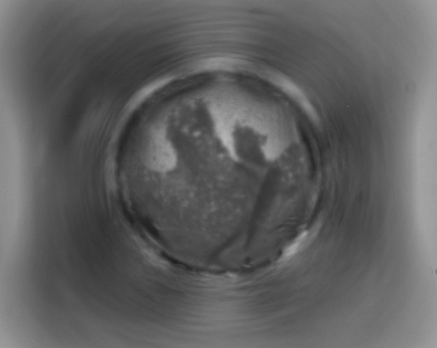 X0000113861019200910011017