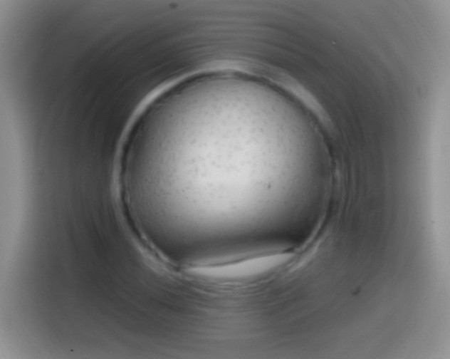 X0000113861020200910011017