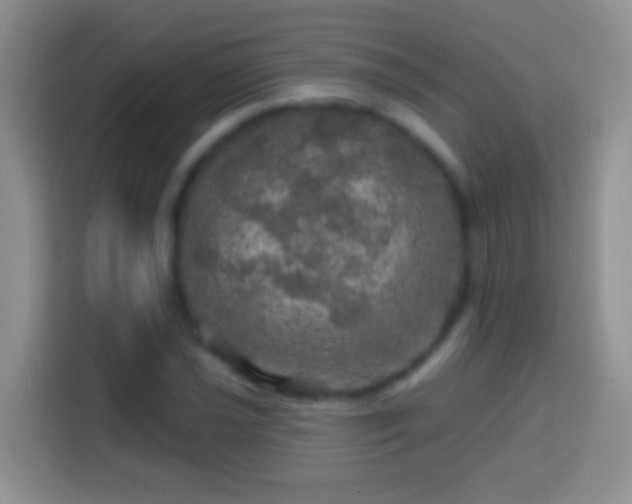X0000113861021200910011017