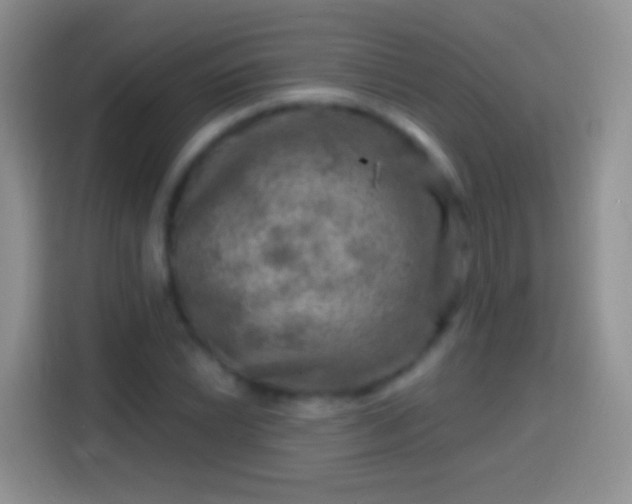 X0000113861022200910011017
