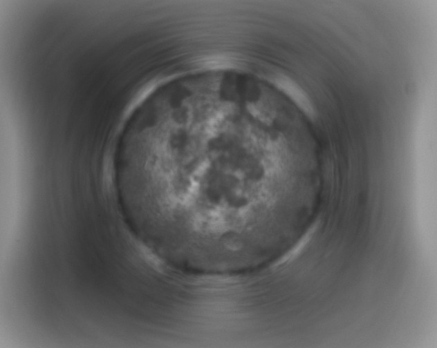 X0000113861023200910011017