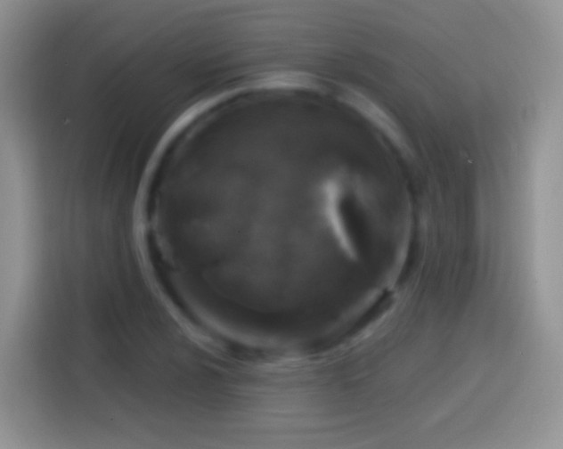 X0000113861024200910011017