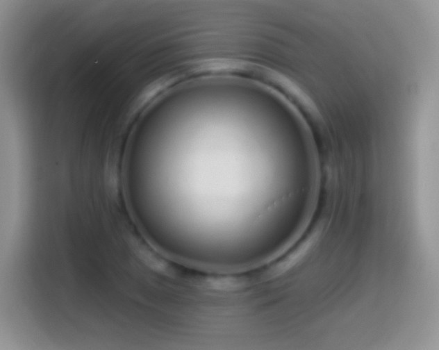 X0000113861025200910011017