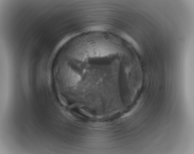 X0000113861027200910011017