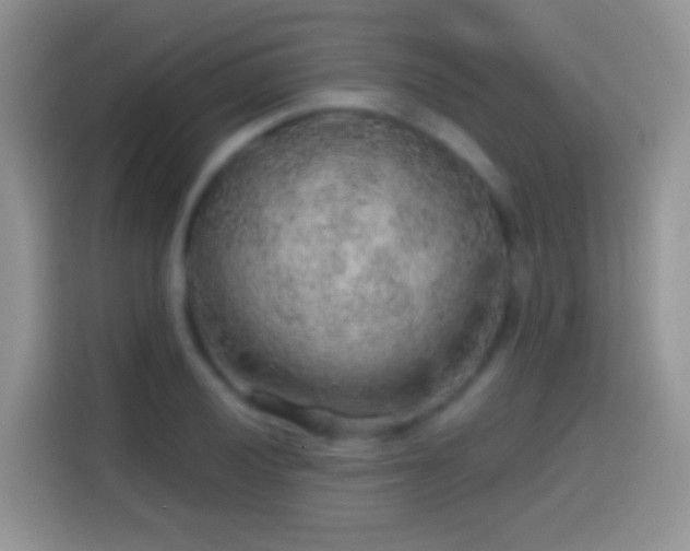 X0000113861028200910011017