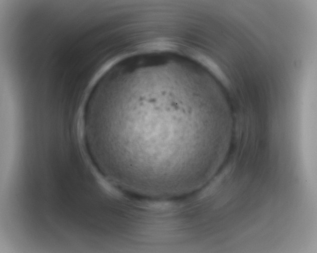 X0000113861031200910011017
