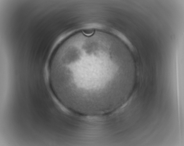 X0000113861032200910011017