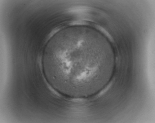 X0000113861033200910011017