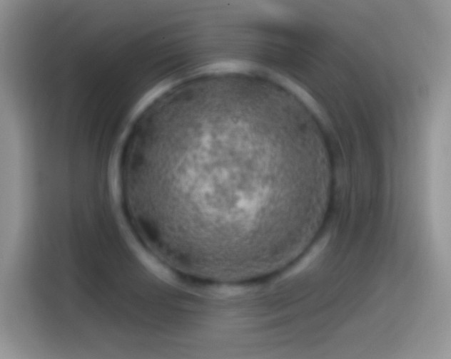 X0000113861034200910011017