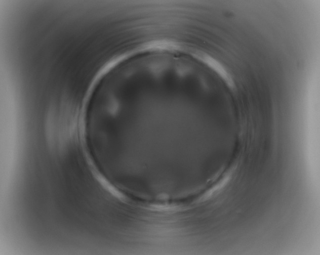 X0000113861037200910011017