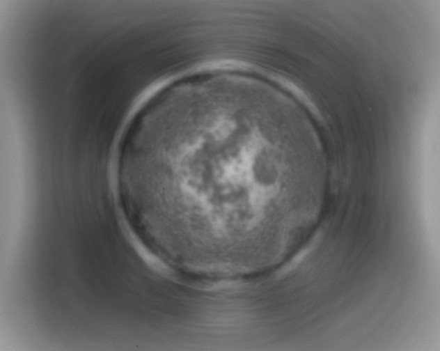 X0000113861038200910011017
