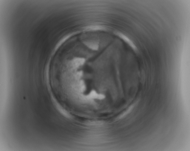 X0000113861039200910011017