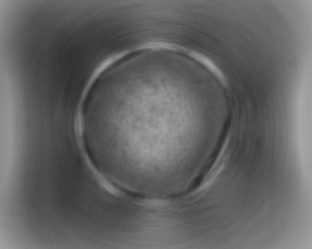 X0000113861040200910011017