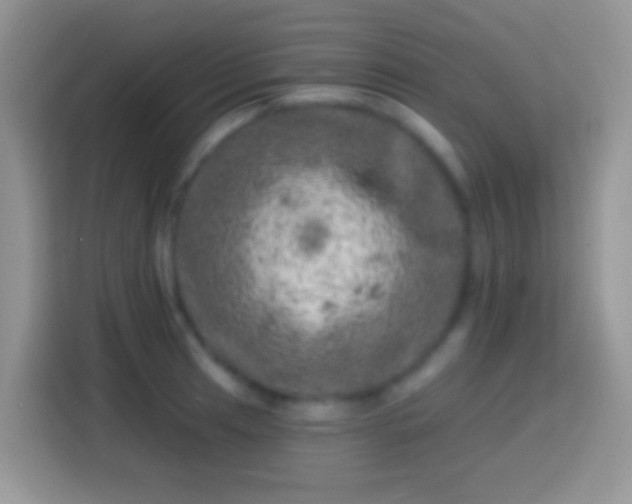 X0000113861041200910011017