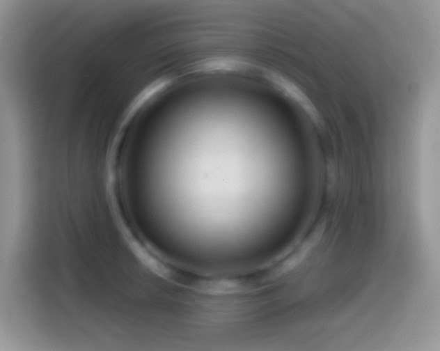 X0000113861042200910011017