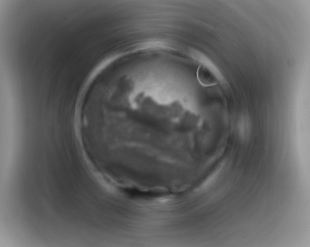 X0000113861043200910011017
