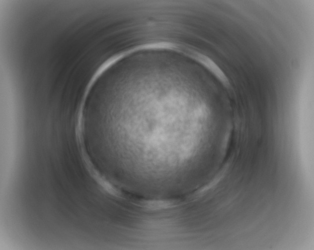 X0000113861044200910011017