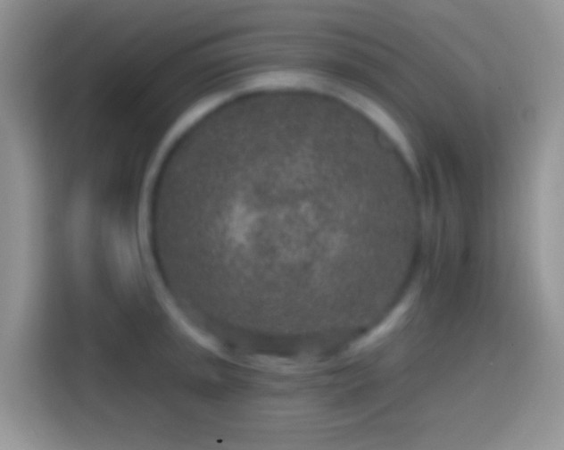 X0000113861045200910011017