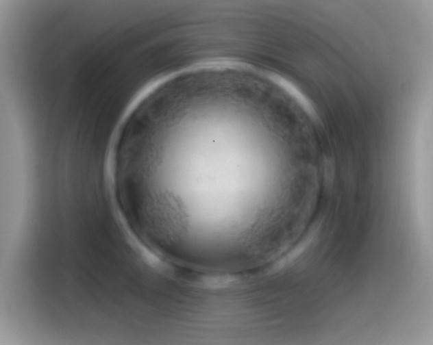 X0000113861046200910011017