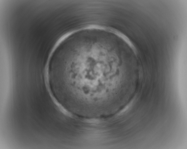 X0000113861048200910011017