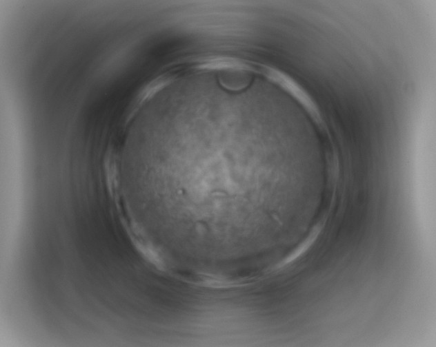 X0000113861049200910011017