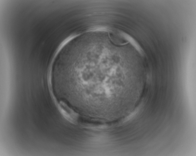 X0000113861050200910011017