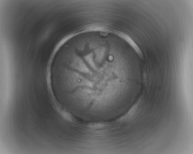 X0000113861051200910011017