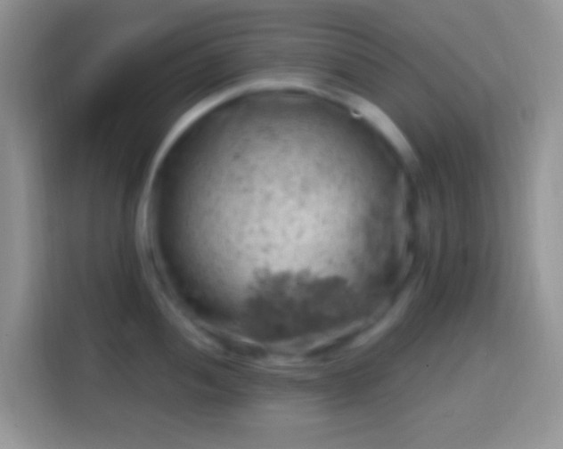 X0000113861052200910011017