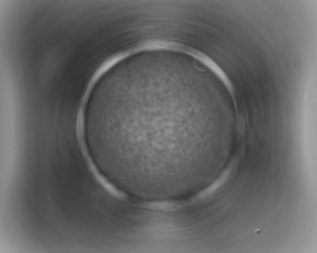 X0000113861053200910011017