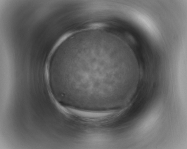 X0000113861054200910011017