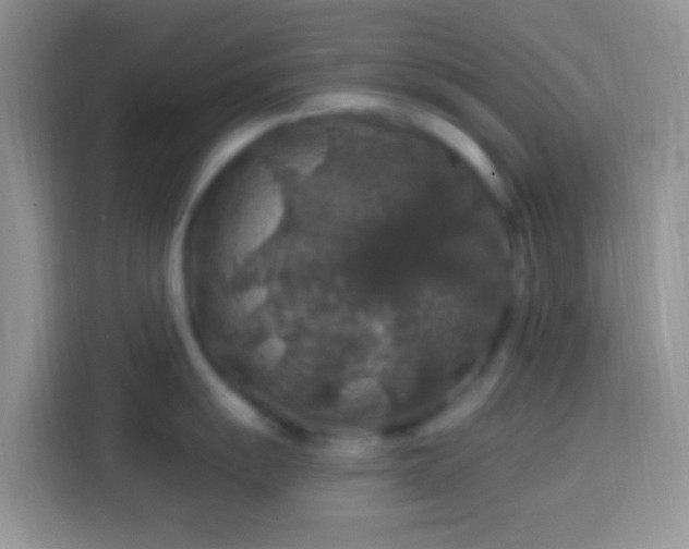 X0000113861055200910011017