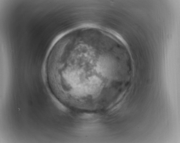 X0000113861056200910011017