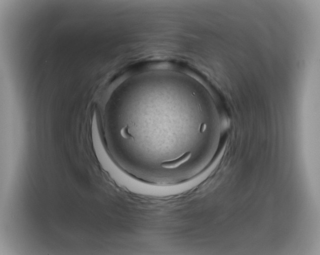 X0000113861057200910011017