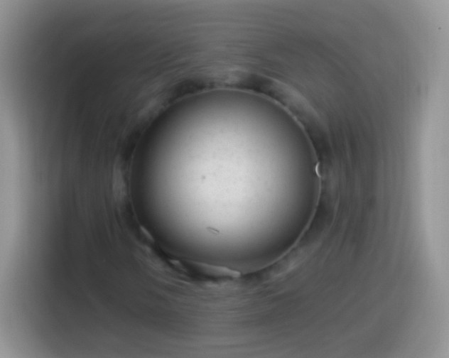 X0000113861058200910011017