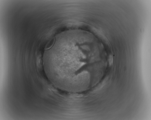 X0000113861059200910011017