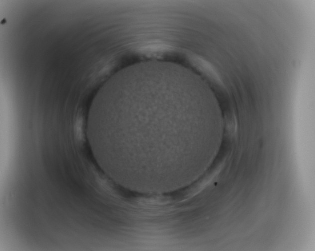 X0000113861060200910011017