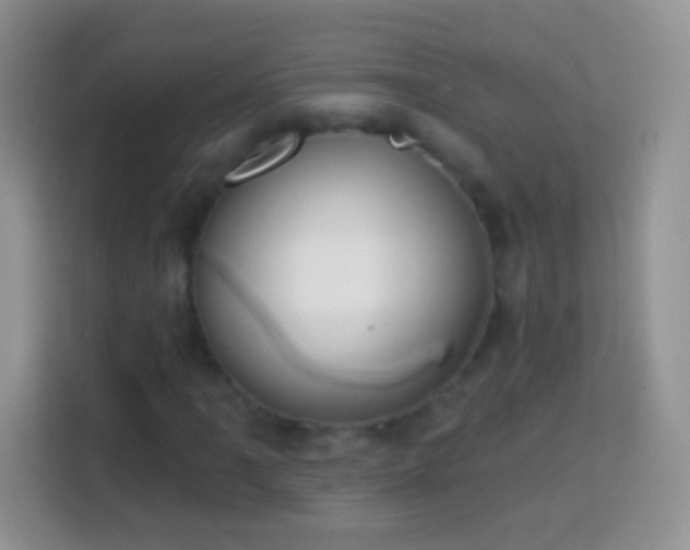 X0000113861061200910011017