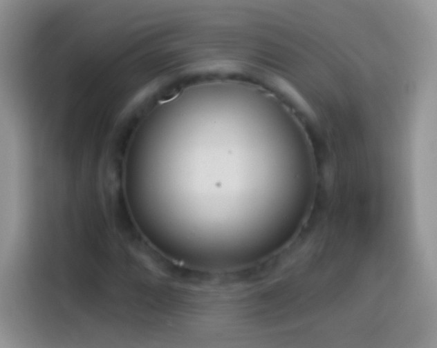 X0000113861064200910011017