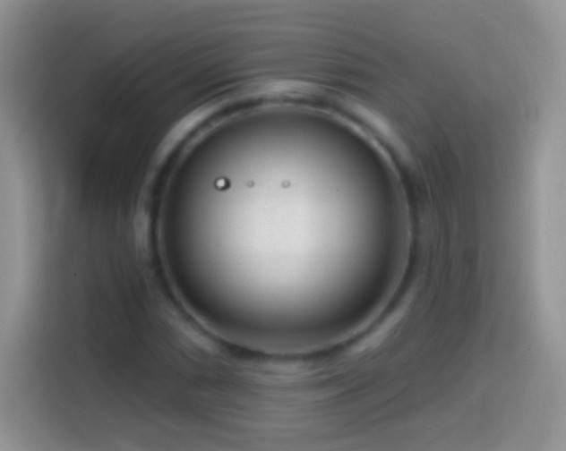X0000113861066200910011017