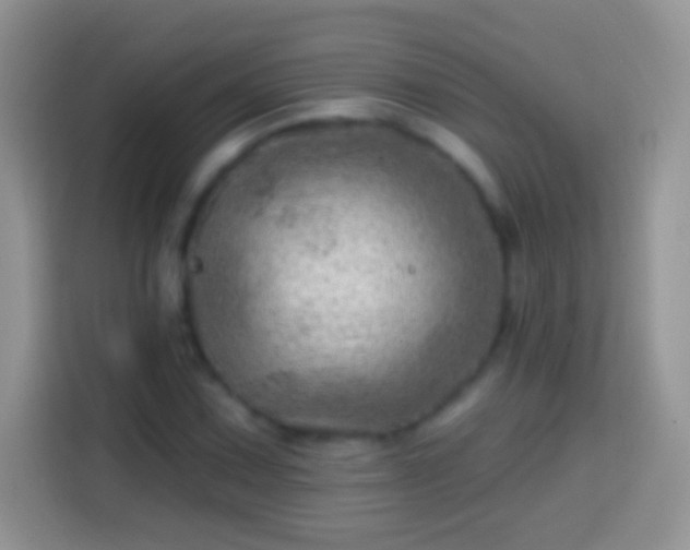 X0000113861067200910011017