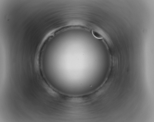 X0000113861068200910011017