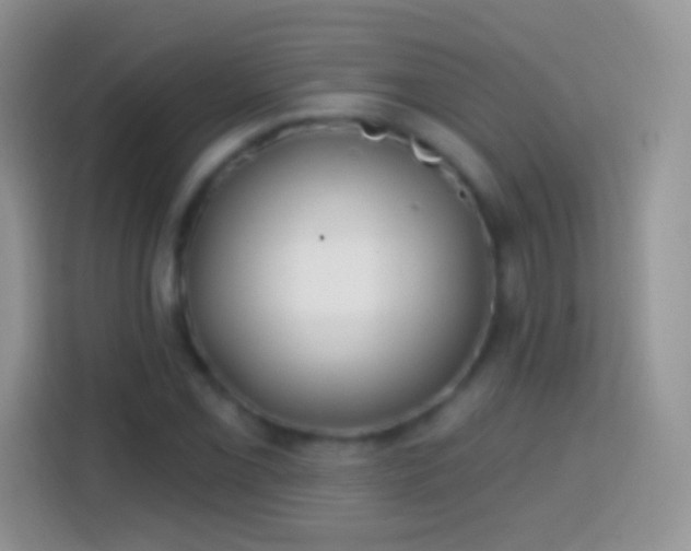 X0000113861069200910011017