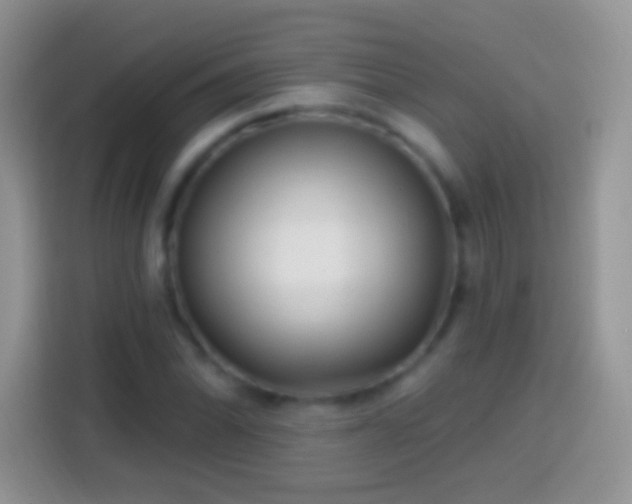 X0000113861070200910011017