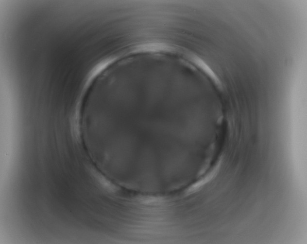X0000113861071200910011017