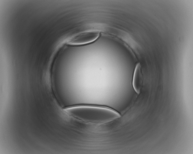 X0000113861072200910011017