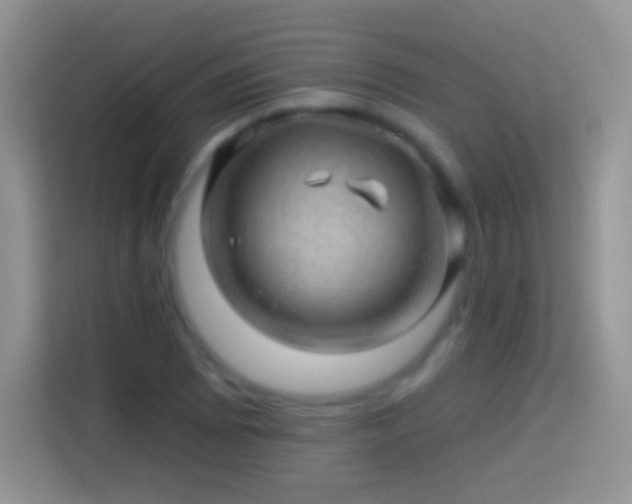 X0000113861073200910011017