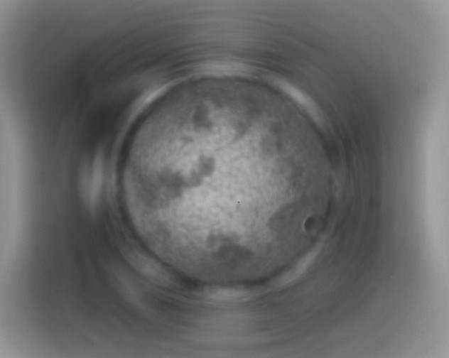 X0000113861074200910011017