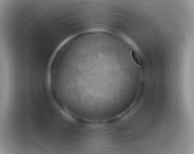 X0000113861076200910011017
