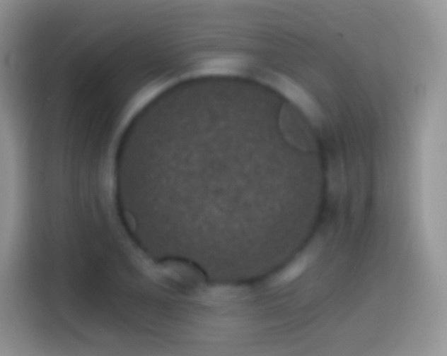 X0000113861077200910011016