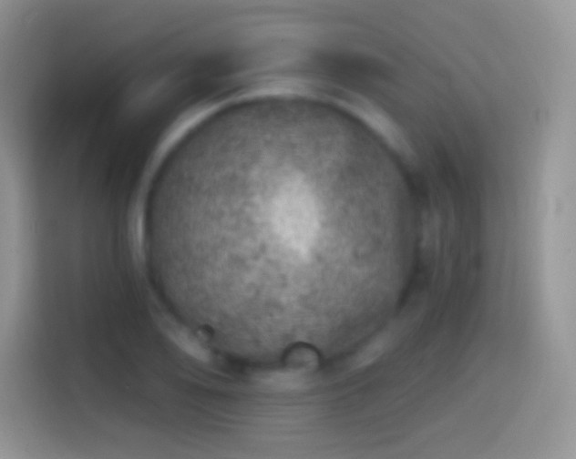 X0000113861078200910011016